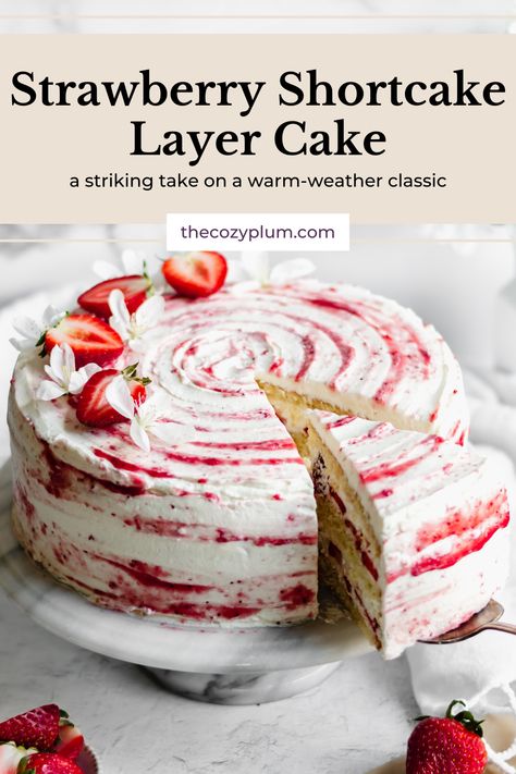 This Strawberry Shortcake Layer Cake is made with a fluffy vanilla sponge cake, strawberry simple syrup, fresh strawberries and lightly sweetened whipped cream. All layered together to produce a striking version of a summertime classic.  Make this into a 2-layer cake or 3-layer cake based on your preference! Simple Cake With Strawberries, Strawberry Flavoured Cake, Homemade Strawberry Shortcake Cake, Strawberry Shortcake Sponge Cake, Gourmet Layer Cake, Double Layer Strawberry Cake, Sheetpan Strawberry Shortcake, Strawberry Shortcake Trifle Recipe, Strawberry Shortcake With Pound Cake