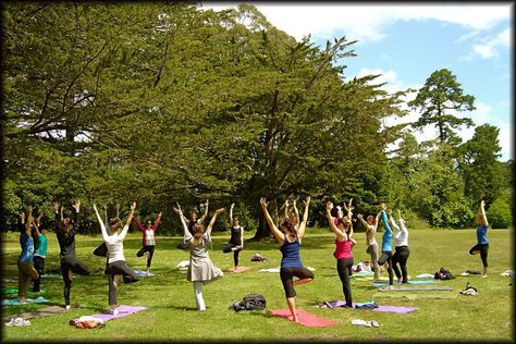 FREE YOGA in Golden Gate Park this Saturday, October 18th!   #SanFrancisco #yoga #fitness #exercise #weekend #activities #SF #SFPMPT #active #outdoors Yoga Garden, Yoga Ashtanga, Yoga Outdoor, California Academy Of Sciences, Yoga Trainer, Sport Park, Outdoor Pictures, Yoga Iyengar, Ocean Air