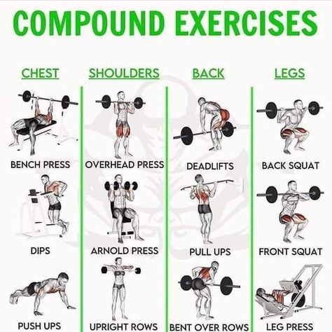 Pull Day Workout, Full Body Workout Plan, Workout Gym Routine, Full Body Dumbbell Workout, Workout Program Gym, Gym Antrenmanları, Lifting Workouts, Gym Workouts For Men, Weight Lifting Workouts