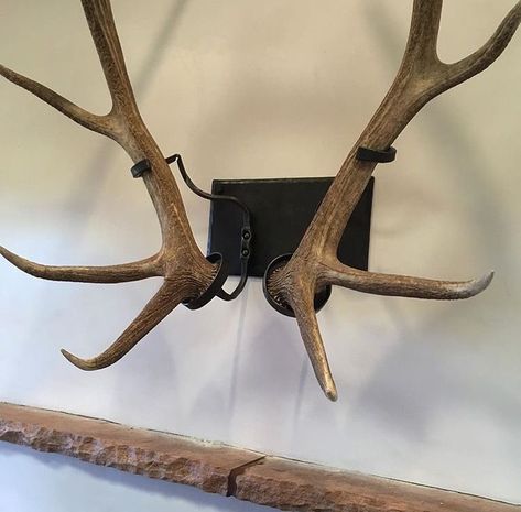 I have a matched pair of elk horns laying around. I like this easy, non-traditional way to wall mount. Are they custom or available retail? Deer Horn Decor Ideas, Elk Horn Decor Ideas, Shed Antler Display Ideas, Antler Display Ideas, Elk Antler Decor, European Deer Mount Ideas, Antler Mount Ideas, Elk Horns, Antler Display