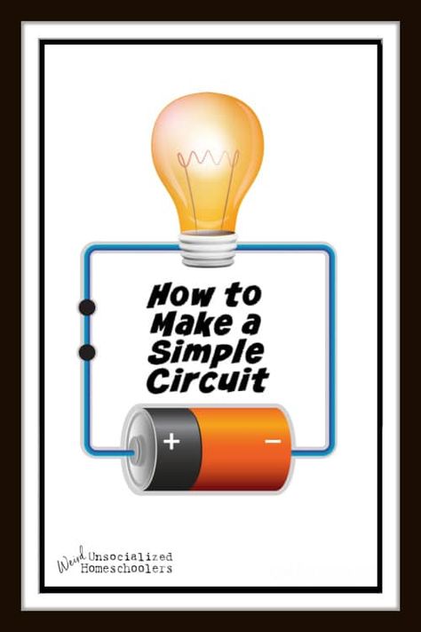 Edible Cell Model, Electric Circuits For Kids, Simple Electric Circuit, Simple Circuit Projects, Edible Cell, How Electricity Works, Circuits Science, Cool Science Projects, Battery Charger Circuit