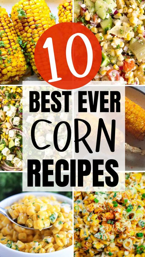 Corn is in season right now, and it’s the perfect time to savor its fresh, sweet flavor. Try these 10 recipes to make the most of peak corn and add a seasonal touch to your meals. Best Corn Dishes, Yummy Corn Recipes, Sides With Corn, Corn Side Recipes, Corn Christmas Side Dish, Best Frozen Corn Recipe, Best Corn Recipes Thanksgiving, Cold Corn Recipes, Sweet Corn Side Dish