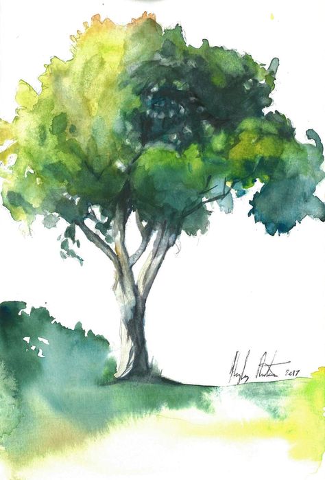 Mango tree by Hayley Rutger Black Christmas Tree Decorations, Tree Watercolor, Willow Tree Figurines, Nature Watercolor, Tree Sketches, Mango Tree, Watercolor Tree, Watercolor Ideas, Dollar Tree Diy Crafts