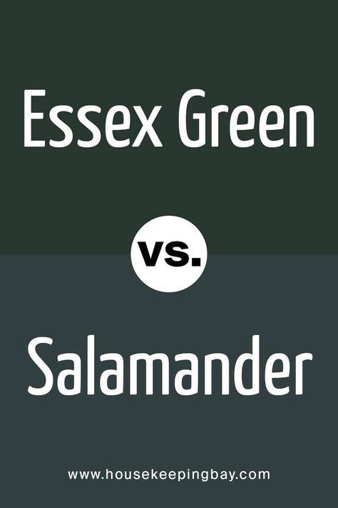 Essex Green  vs Salamander Essex Green Exterior House, Essex Green Living Room, Dark Green Benjamin Moore Paint, Green Paint Colors Benjamin Moore, Green Room Colors, Benjamin Moore Green, Benjamin Moore Bedroom, Benjamin Moore Kitchen, Essex Green