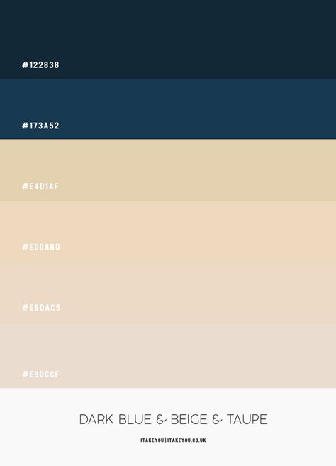 Dark Blue Beige Color Palette, Beige Navy Color Palette, Navy Blue Combination Color, Navy Blue Beige Color Palette, Navy And Beige Color Palette, Navy Blue And Cream Color Palette, Blue And Beige Branding, Dark Blue Website Design, Dark Blue Colour Combinations