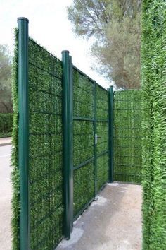 Cheap Privacy Fence, درابزين السلم, Oasis Backyard, Green Fence, Privacy Fence Designs, Garden Privacy, Backyard Privacy, Diy Fence, Vertical Gardens