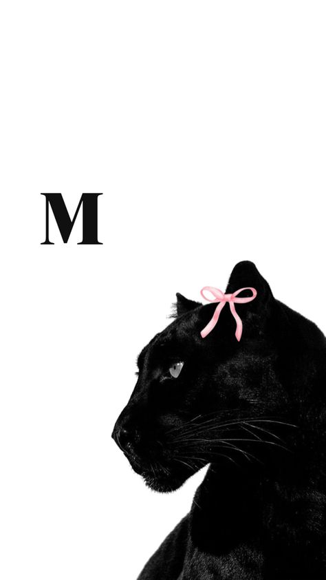 Wallpaper with initial M Glamour Wallpaper, Panther Pictures, Citate Harry Potter, Leopard Print Wallpaper, M Wallpaper, Tiger Wallpaper, Initial M, Floral Wallpaper Iphone, Funny Iphone Wallpaper