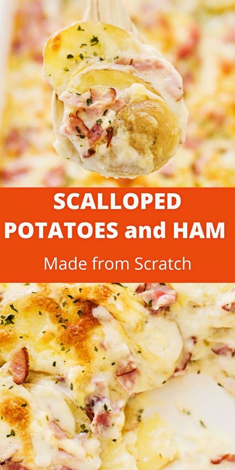 Scalloped Potatoes And Han, Scallop Potatoes And Ham Oven, Cheesy Ham And Scalloped Potatoes, Quick Scalloped Potatoes And Ham, Scapploped Potatoes With Ham, Scalloped Potatoes Dinner Meals, Easy Ham And Scalloped Potato Casserole, Dutch Oven Scalloped Potatoes And Ham, Easy Scalloped Potatoes And Ham Simple