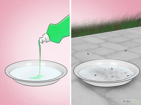 How to Get Rid of Mosquitoes Indoor Mosquito Repellent, Indoor Mosquito Trap, Mosquito Trap Diy, Repellent Diy, Mosquitoes Remedies, Mosquito Repellent Homemade, Mosquito Traps, Diy Mosquito Repellent, Get Rid Of Flies