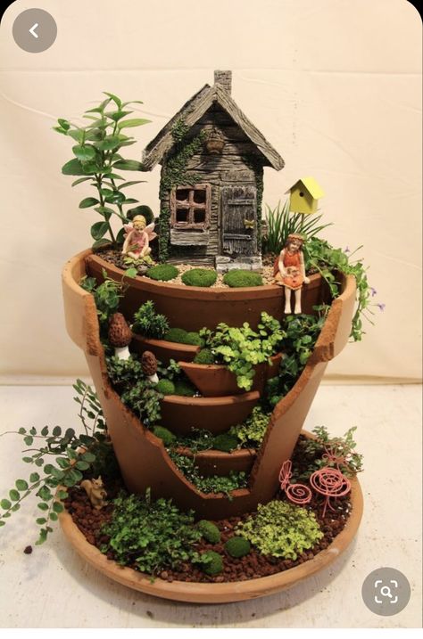 Fairy Garden Design Ideas, Fairy Pots, Fairy Garden Pots, Indoor Fairy Gardens, نباتات منزلية, Fairy Garden Designs, Plants Growing, Faeries Gardens, Mini Fairy Garden