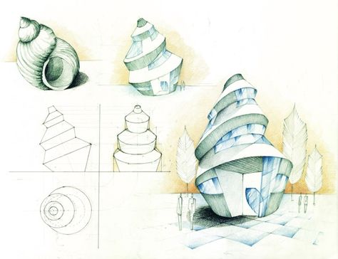 Seashell Architecture, Biomimicry Architecture, Shell House, Concept Models Architecture, Conceptual Architecture, Architecture Concept Diagram, Architecture Design Sketch, Architecture Design Drawing, Concept Diagram