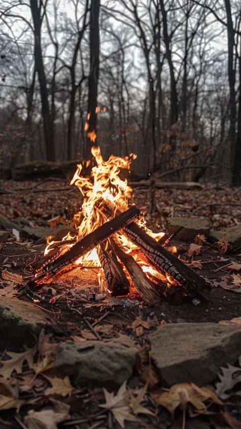 How to make a campfire: Stack the logs like tik tac toe, then place this fire starter i linked below them. Light it, and ta da! You've got a fire. This way makes the logs much more breathable! Log Fire Aesthetic, Camping Fire Aesthetic, Natural Wood Fireplace, Fire In The Woods, Van Life Aesthetic, Camp Fires, Survival Hunting, Camping In The Woods, Log Fire