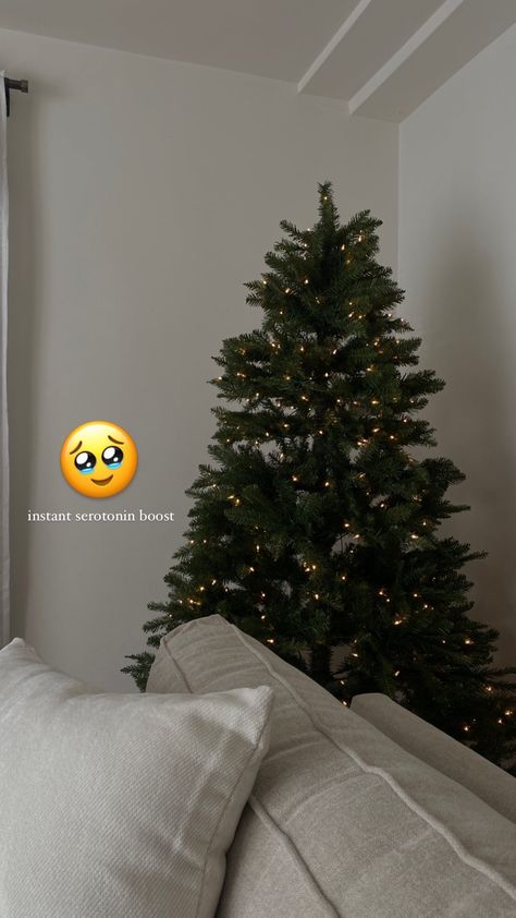 Christmas Decor Instagram Story, December 1st Instagram Story, Christmas Lights Instagram Story, Xmas Story Instagram, Christmas Tree Ig Story, Christmas Eve Instagram Story, Christmas Tree Captions For Instagram, New Year Snap Ideas, Xmas Captions For Instagram