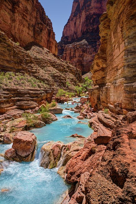 Hikers crossing Havasu Creek, Grand Canyon, Arizona, USA Grand Canyon Vacation, Trip To Grand Canyon, Havasu Falls, Arizona Travel, Grand Canyon National Park, 판타지 아트, Road Trip Usa, Travel Aesthetic, Natural Wonders