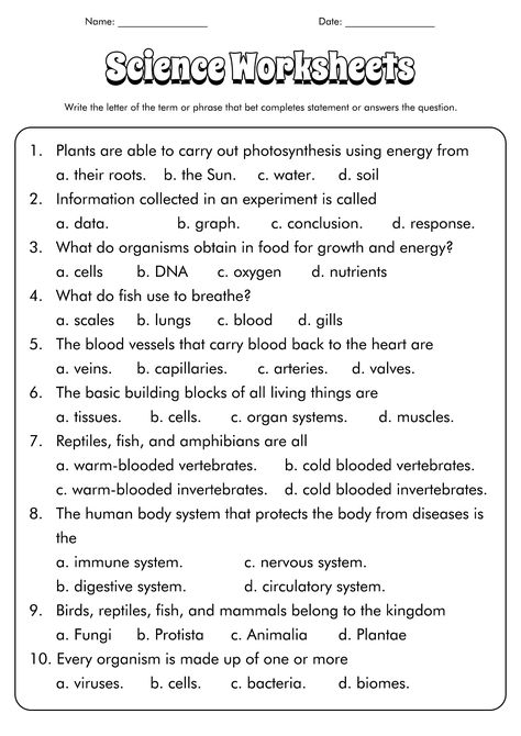 Year 7 Science Worksheets, Science Worksheet For Grade 5, Science 6th Grade Worksheets, Science Worksheets Grade 6, Grade 8 Science Worksheets, Class 6 Science Worksheet, 7th Grade Summer Worksheets, Grade 7 Science Worksheets, Year 6 Worksheets Free Printable