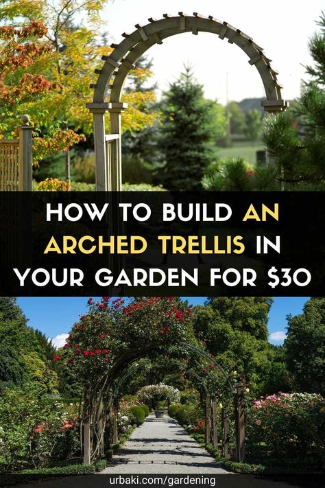 Curved Trellis, Climbing Roses Trellis, Arched Trellis, Wisteria Trellis, Diy Arbour, Garden Archway, Garden Arch Trellis, Vine Trellis, Flower Trellis