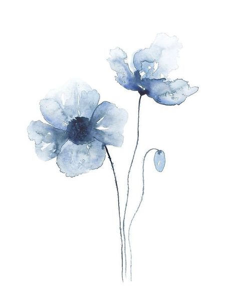 Blue Poppies, Watercolor Flowers, Blue Flowers, Poppies, Paint, Flowers, Blue, White, Watercolour Flowers