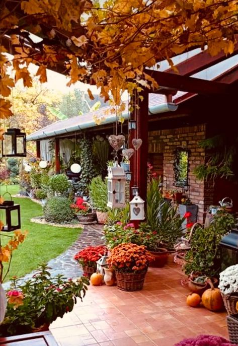 Porch Landscaping, Home Decor Aesthetic, Front Yard Garden Design, Aesthetic Home Decor, Patio Designs, Garden Yard Ideas, Backyard Garden Design, Front Yard Garden, Aesthetic Home