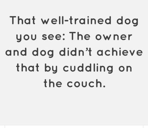 Service Dog Quotes, Dog Training Quotes, Dog Infographic, Training Quotes, Training Room, Easiest Dogs To Train, Dog School, Cuddling On The Couch, Dog Info