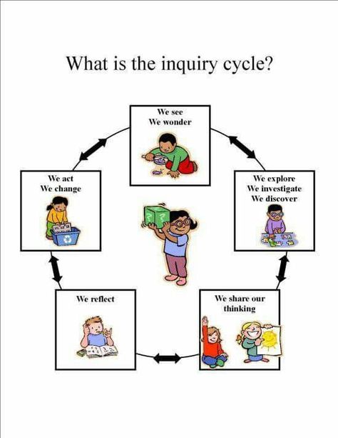 Inquiry Cycle, Ib Classroom, Kindergarten Inquiry, Inquiry Project, Science Inquiry, Emergent Curriculum, Inquiry Learning, Reggio Classroom, International Baccalaureate