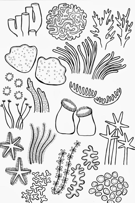 Drawing Underwater Coral Reef Coral Reef Drawing, Coral Drawing, Coral Reef Color, Coral Reef Art, Ocean Drawing, Sea Drawing, Sea Coral, Coral Reefs, Ocean Themes