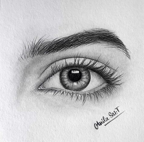 how to draw eye 2 Hyperrealistic pencil drawing of a human eye showcasing detailed shading and texture. Artist signature visible at the bottom. | Sky Rye Design Pencil Shading Eyes, Eye Pencil Shading, Eyes Sketch Pencil, Human Eyes Drawing, Eye Sketch Realistic, Eye Sketch Easy, Anatomy Shading, Drawing Realistic Eyes, Realistic Eye Sketch