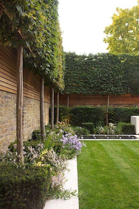 Garden Privacy Screen, Narrow Garden, Garden Privacy, Backyard Privacy, Garden Screening, Garden Drawing, Walled Garden, Have Inspiration, Backyard Fences