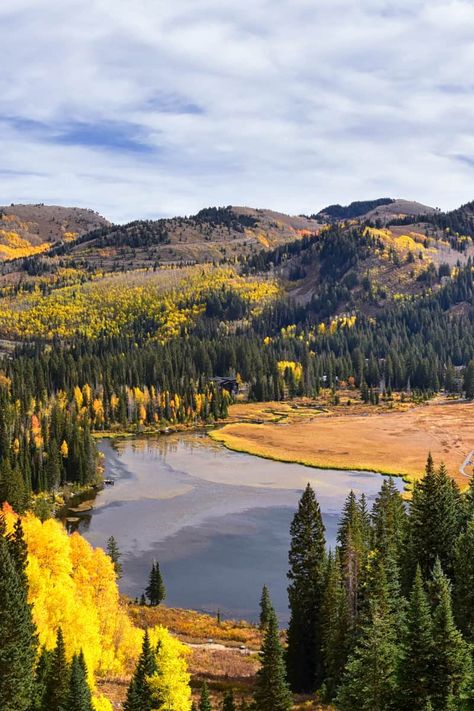 Silver Lake is a gorgeous lake located in Big Cottonwood Canyon, Salt Lake City Utah. It is located right on Brighton Ski Resort. Silver Lake Utah Details: Note: As of August 2023 half the trail is currently closed due to construction. It is a 1 mile out and back trail as of today.  Silver Lake […] The post Silver Lake Loop Trail Utah (Perfect Family Hike!) appeared first on Avenly Lane Travel. Silver Lake Utah, Family Hike, Family Hiking, Gorgeous Scenery, Perfect Family, Salt Lake City Utah, Silver Lake, Ski Resort, Salt Lake City