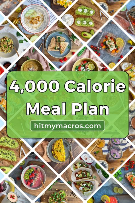 3000 Calorie Meal Plan, 700 Calorie Meals, 1000 Calorie Meal, 2500 Calorie Meal Plan, 1000 Calorie Meal Plan, 1300 Calorie Meal Plan, Bulking Meal Plan, 2000 Calorie Meal Plan, 800 Calorie Meals