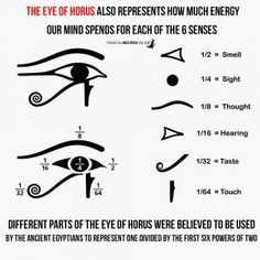 eye of horus, the 6 senses and mathematical values Eye Of Horus Meaning, Egyptian Eye Tattoos, Horus Tattoo, Ancient Egypt Gods, The Eye Of Horus, Ancient Egyptian Symbols, Magia Das Ervas, Egypt Tattoo, Eye Of Ra