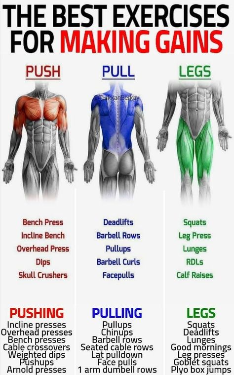 Push Pull Workout, Push Pull Legs, Full Body Workout Routine, Workout Splits, Gym Workout Chart, Trening Fitness, Weight Training Workouts, Body Workout Plan, Best Exercises