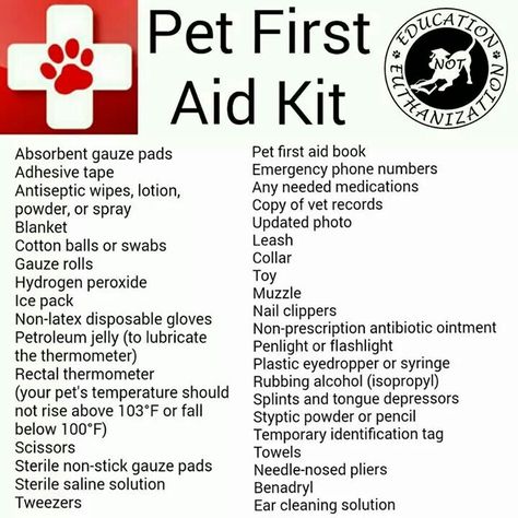 First Aid Kit Pet First Aid Kit, First Aid For Dogs, Dog Sitting Business, Dog Breeding Business, Pet First Aid, Disaster Plan, Emergency Binder, Cat Language, Pet Corner