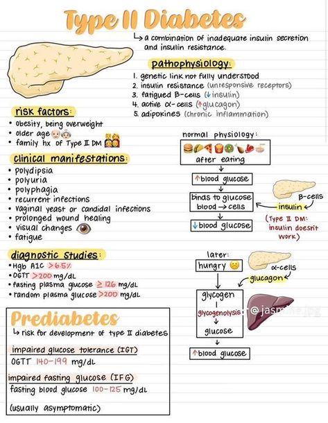 Nursing School Studying Cheat Sheets, Medical Assistant Student, Paramedic School, Studera Motivation, Nursing School Essential, Nursing Study Guide, Nursing School Motivation, Medicine Notes, Nurse Study Notes