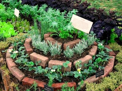 Ideas Para Decorar Jardines, Herb Spiral, Spiral Garden, Landscape Gardening, Herb Garden Design, Brick Garden, Potager Garden, Recycled Garden, Garden Edging