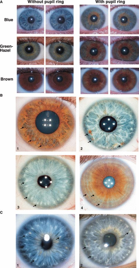 Soft Autumn Deep, Eye Color Chart, Blue Eye Color, Summer Eyes, Soft Cell, Cool Doodles, Seasonal Color Analysis, Eye Pattern, Soft Autumn