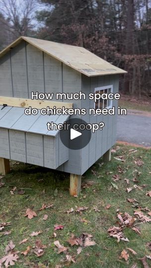 Chicken Laying Boxes, Keep Clean, Backyard Flocks, Nesting Box, Nesting Boxes, Chickens Backyard, Chicken Coop, Coop, Flocking