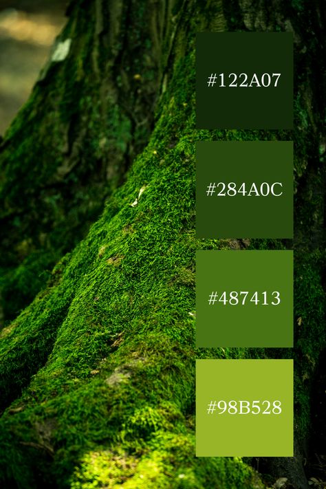 Enchanted Forest Moss: A close-up of a tree trunk blanketed in lush green moss, showcasing the rich, deep hues of a moss green color palette. Forest Green Color Pallete, Forest Colours Palette, Moss Green Colour Palette, Moss Color Palette, Enchanted Forest Color Palette, Moss Green Color Palette, Forest Green Palette, Forest Color Scheme, Deep Green Color Palette