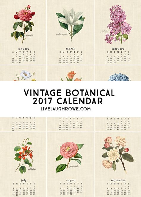 Calander Printable, Botanical Calendar, Flower Calendar, Printable Calendar 2020, 달력 디자인, 2017 Calendar, Vintage Calendar, Botanical Illustration Vintage, Free Calendar