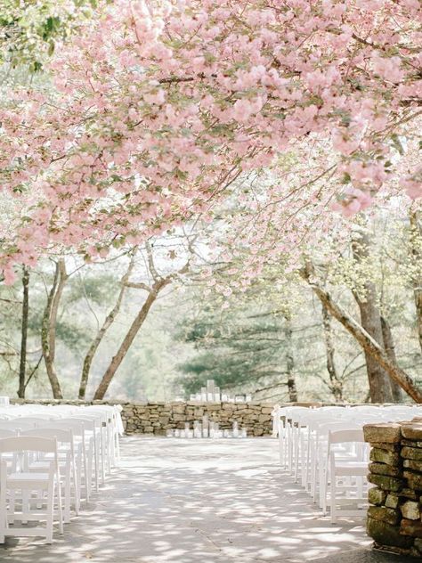 Romantic wedding ceremony setting |fabmood.com | Amy Arrington Photography Wedding Ceremony Ideas, Georgia Wedding Venues, White Chairs, Cherry Blossom Wedding, Pink Garden, Georgia Wedding, Mod Wedding, Blossom Trees, Outdoor Wedding Venues