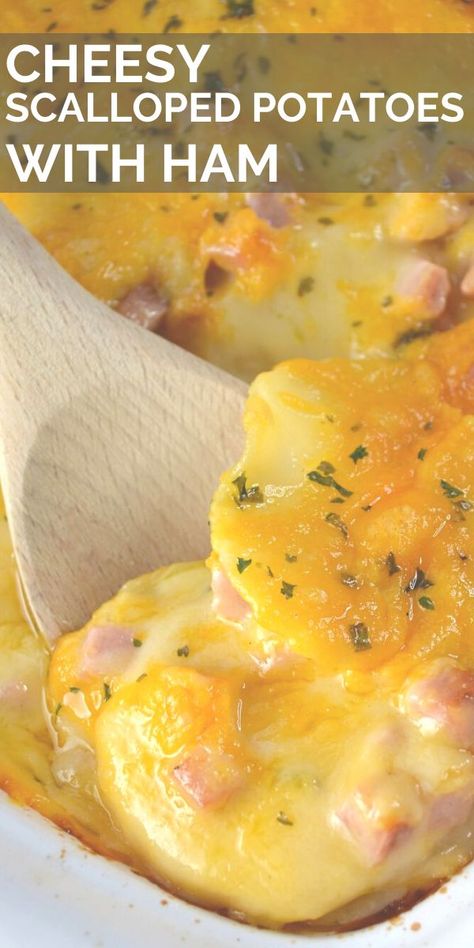 An easy, cheesy scalloped potatoes and ham recipe that will be a crowd favorite. Perfect for a dinner or as a side dish for a family meal, this classic casserole is super simple to make. #potatoes #scallopedpotatoes #sidedish #Easter #ham #leftoverham #cheese Cheesy Scalloped Potatoes And Ham, Scalloped Potatoes And Ham Recipe, Scalloped Potatoes With Ham, Potatoes With Ham, Easy Cheesy Scalloped Potatoes, Scalloped Potatoes Crockpot, Potatoes And Ham, Ham And Potato Casserole, Cheesy Scalloped Potatoes