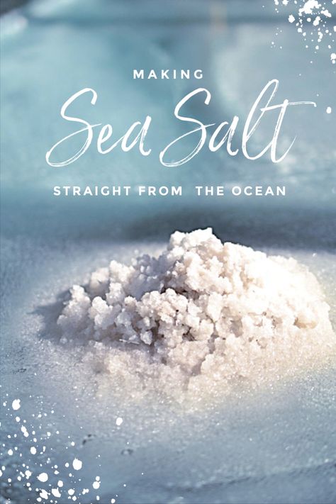 Making sea salt, straight from the ocean How To Makw, Epsom Salt Benefits, Sea Salt Recipes, Maldon Salt, Salt Making, Salt Seasoning, Terranea Resort, Ocean Salt, No Salt Recipes