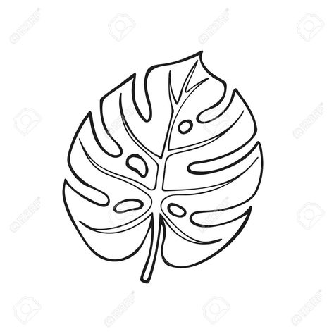 Tropical Leaves Line Art, Delicious Monster Leaf Drawing, Monstera Leaf Drawing Simple, Monstera Leaf Sketch, Monstera Plant Outline, Leaf Drawing Outline, Monstera Drawn, Leaves Outline Drawing, Monstera Leaves Drawing