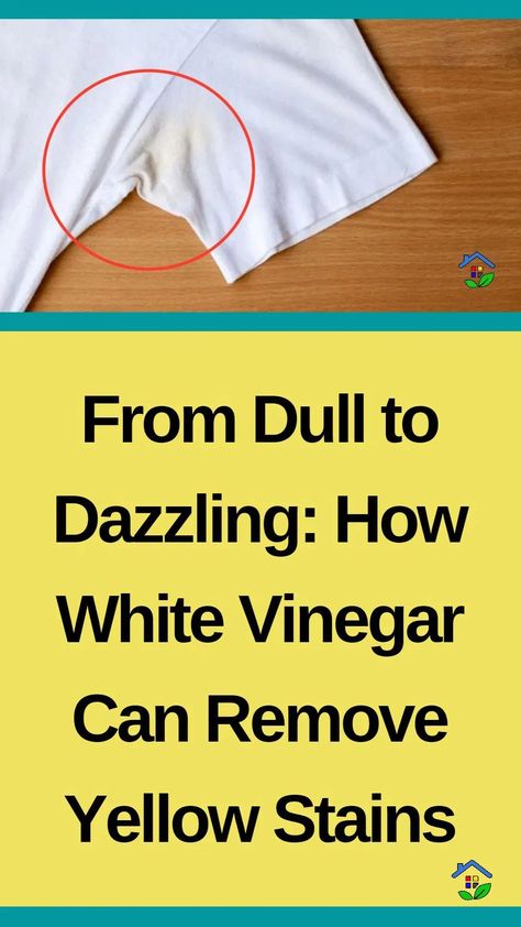 Do you know why the yellow shirt refused to hang out with the white clothes? Because it didn’t want to feel ‘pale’ in comparison! Fear not! Eliminate yellow stains from whites using only white vinegar. Time is enough to mark everything, whatever its value, even clothes. Over time, clothes start to become yellowish (especially light-colored […] Cleaning White Clothes, Remove Yellow Stains, Underarm Stains, Pit Stains, Stain On Clothes, Time Clothes, White Clothes, Deodorant Stains, Sweat Stains