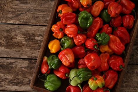 What's A Good Scotch Bonnet Pepper Substitute? - PepperScale Jamaican Desserts, Jamaican Patty, Bbq Pig, Jamaican Cuisine, Jamaican Dishes, Scotch Bonnet Pepper, Ground Chicken Recipes, Caribbean Cuisine, Plantains Fried