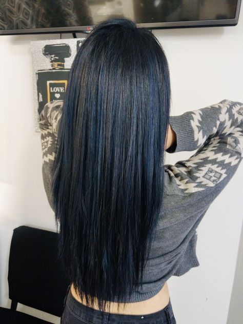 Blue Hair Highlights Straight Hair, Blue Over Black Hair, Asian Blue Black Hair, Dark Blue With Black Hair, Blue Black Hair With Blue Highlights, Black Hair With Hint Of Blue, Back And Blue Hair, Blue Hair On Dark Hair, Deep Blue Black Hair