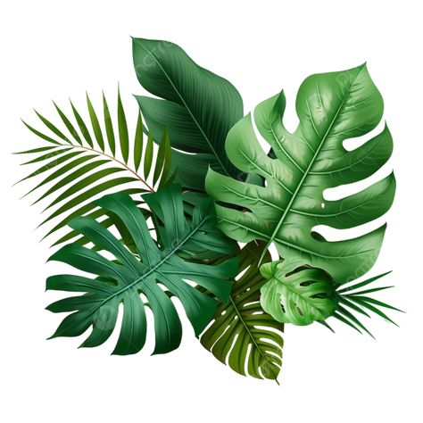 Jungle Leaves Clipart, Safari Leaves, Transparent Leaves, Tropical Png, Leaves Clip Art, Flowers Elements, Tropical Safari, Hanging Leaves, Leaves Drawing