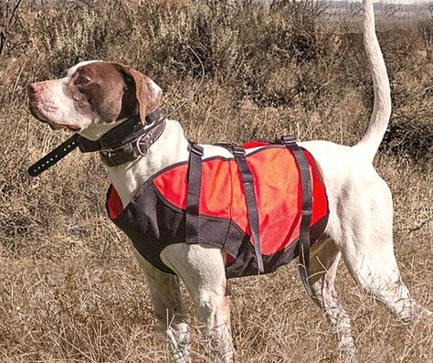 Body Guard, Hog Hunting, Holiday Picks, Dog Cover, Guard Dog, Dog Whistle, Dog Boots, Calm Dogs, Hunting Dog