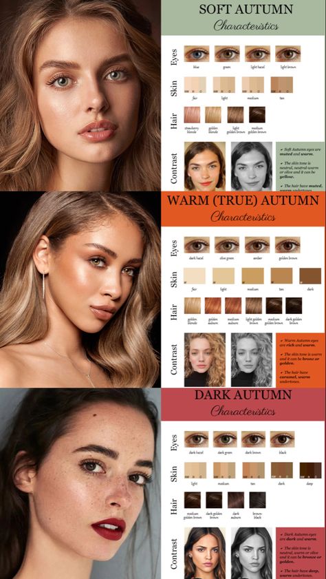 Skin Tone Seasons, Autumn Skin Tone Makeup, Cool Neutral Skin Tone Makeup, Autumn Complexion Colors, Yellow Skin Undertone, Warm Skintone Palettes, Color Palette For Autumn Skin Tone, Personal Color Deep Autumn, True Autumn Season Color Palette