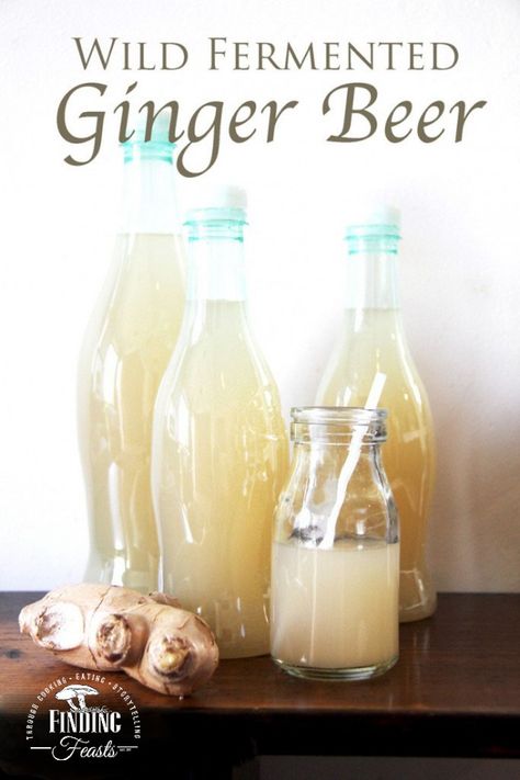 Ginger Beer Recipe Nonalcoholic, How To Make Ginger Beer At Home, Homemade Ginger Beer, Ginger Beer Recipe, Ginger Bug, Dough Starter, Homemade Soda, Wine Connoisseur, Beer Logo