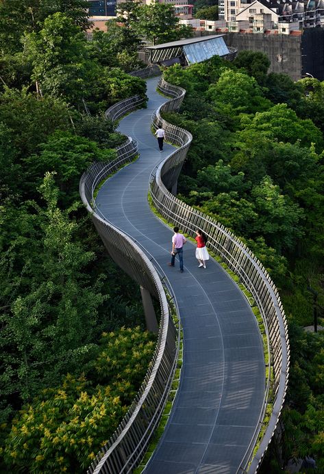 Fuzhou Forest Walkway by LOOK Architects Villa Architecture, Pedestrian Walkway, Plans Architecture, Urban Forest, Landscape Design Plans, Lan Can, Landscape Architecture Design, Urban Park, Pedestrian Bridge